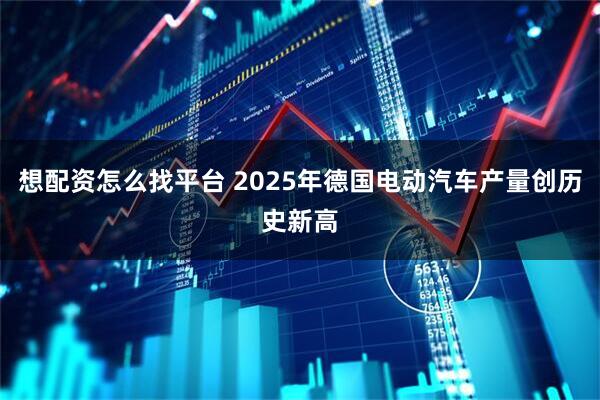 想配资怎么找平台 2025年德国电动汽车产量创历史新高
