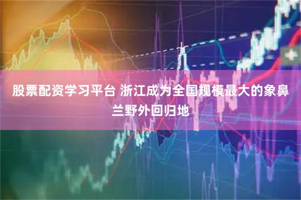 股票配资学习平台 浙江成为全国规模最大的象鼻兰野外回归地