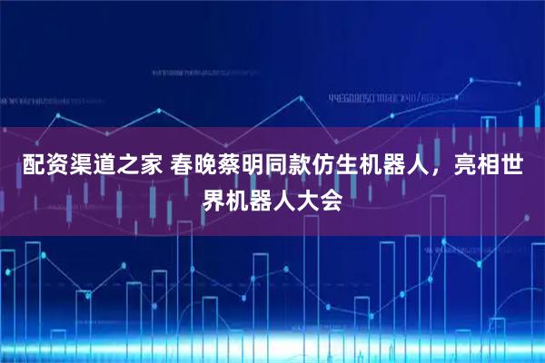 配资渠道之家 春晚蔡明同款仿生机器人，亮相世界机器人大会